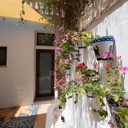 Apartamento Andalucia Cómpeta エクステリア 写真